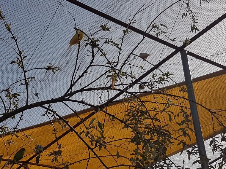 Complejo Rural Ibipozo *